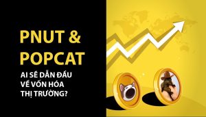 memecoin