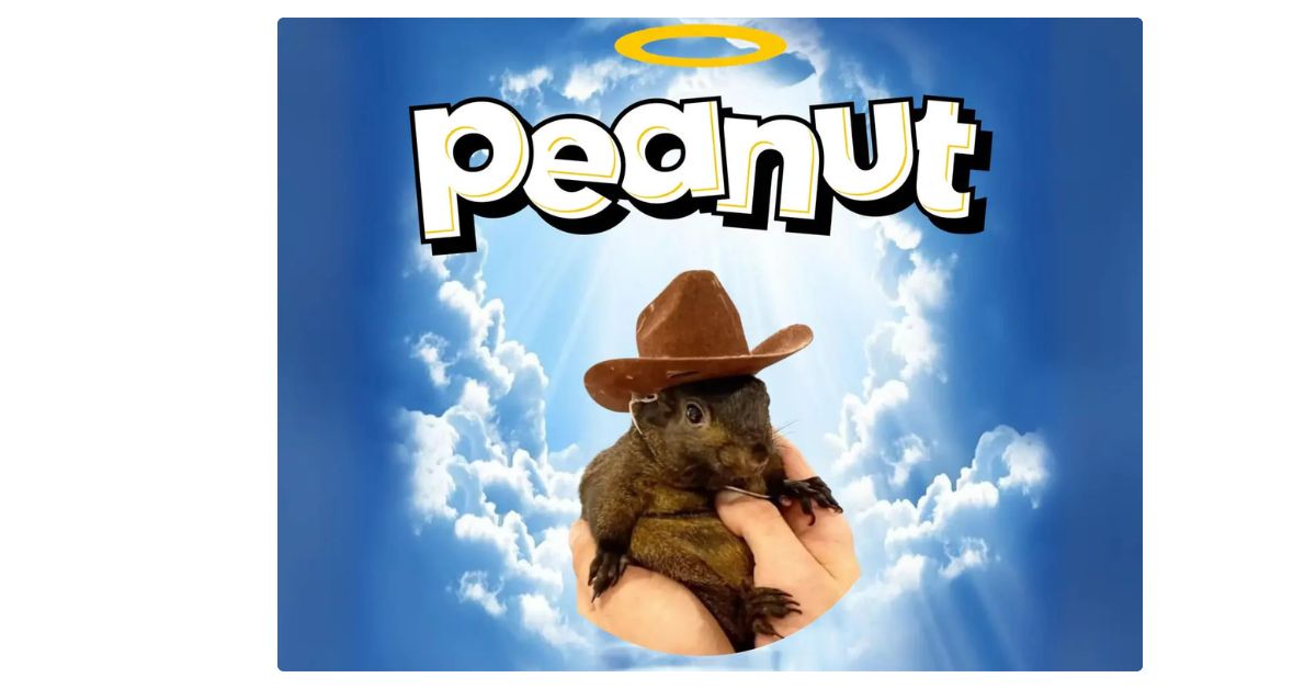 Memecoin Pnut