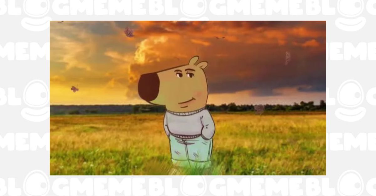 ChillGuy Coin Là Gì 1