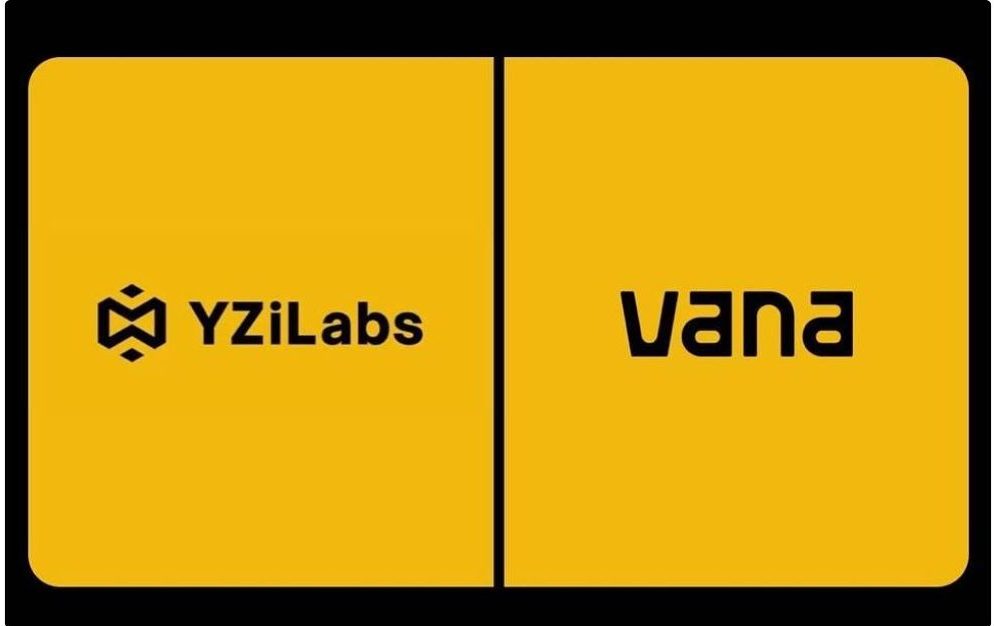 YZi Labs 2
