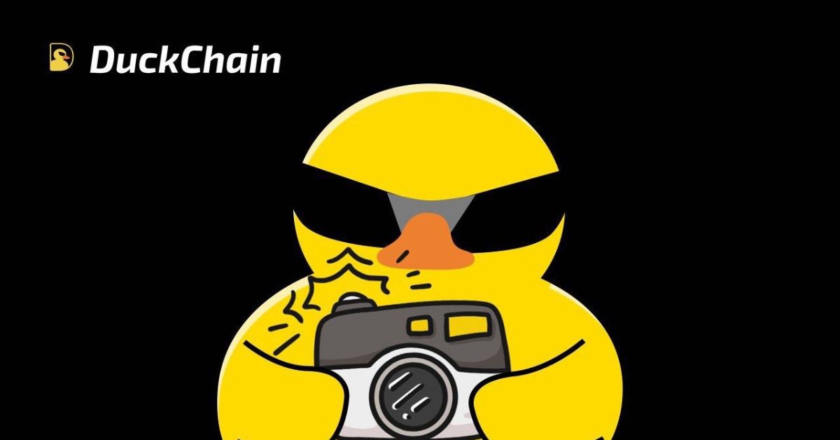 NFT Duckchain là gì?