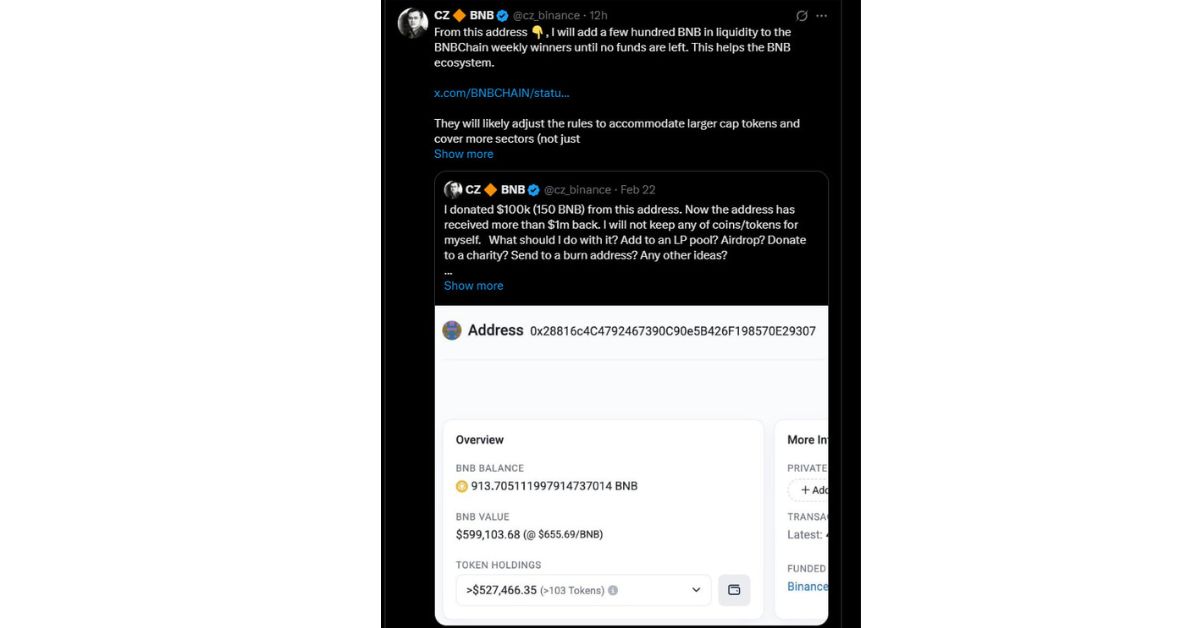 CZ Hỗ Trợ Memecoin Trên BNB Chain