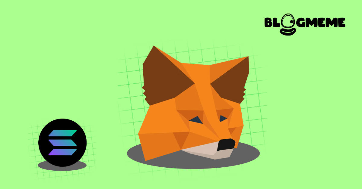 Cách thêm mạng Solana vào ví MetaMask: Bí quyết quản lý tài sản Crypto 2025 1 Bật mí cách thêm mạng Solana vào ví MetaMask để chốt lời Airdrop Neon EVM 2025