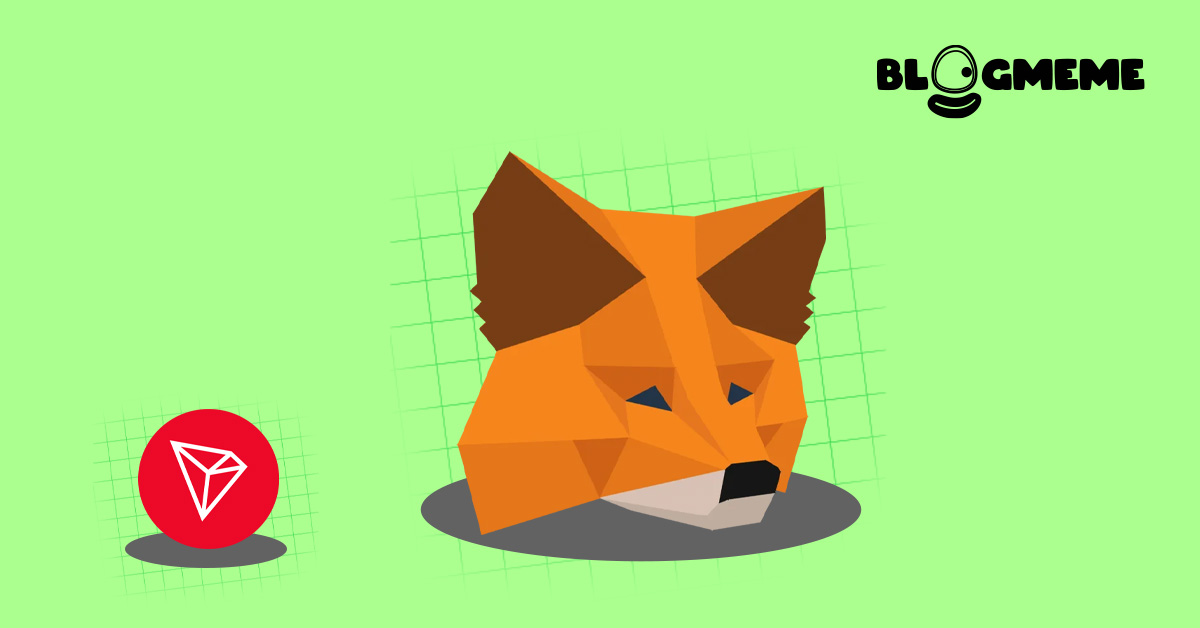 Khám phá cách thêm mạng TRC20 vào Metamask đỉnh cao để săn Airdrop thành công