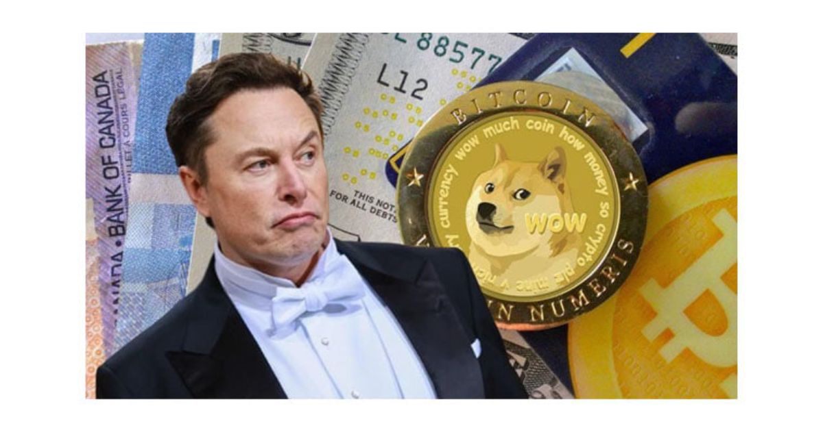 Elon Musk- Memecoin Là Sòng Bạc
