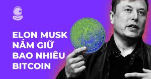 Elon musk nắm giữ bao nhiêu Bitcoin