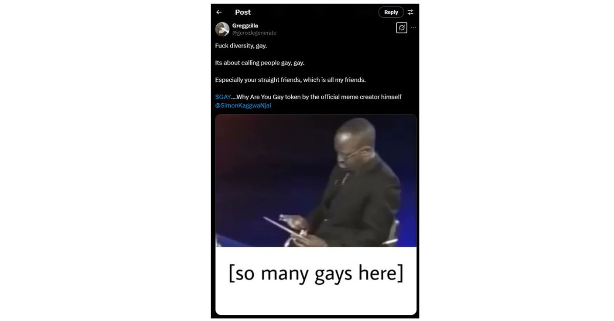 Why Are You Gay 1