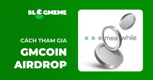 Top 5 bước đơn giản về cách tham gia Waitlist Meanwhile để săn Airdrop 2025