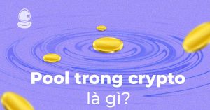 Top 5 bí mật về Pool trong Crypto là gì khi săn Airdrop Liquidity Pool?