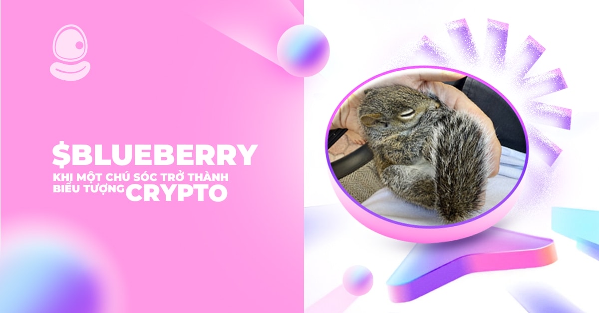 $BLUEBERRY khi một chú sóc trở thành biểu tượng crypto 1 $BLUEBERRY khi một chú sóc trở thành biểu tượng crypto