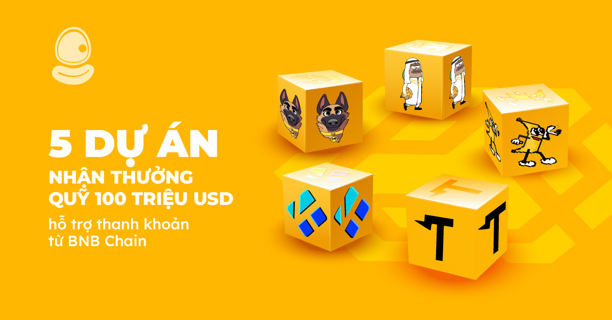 5 Dự Án Thumb