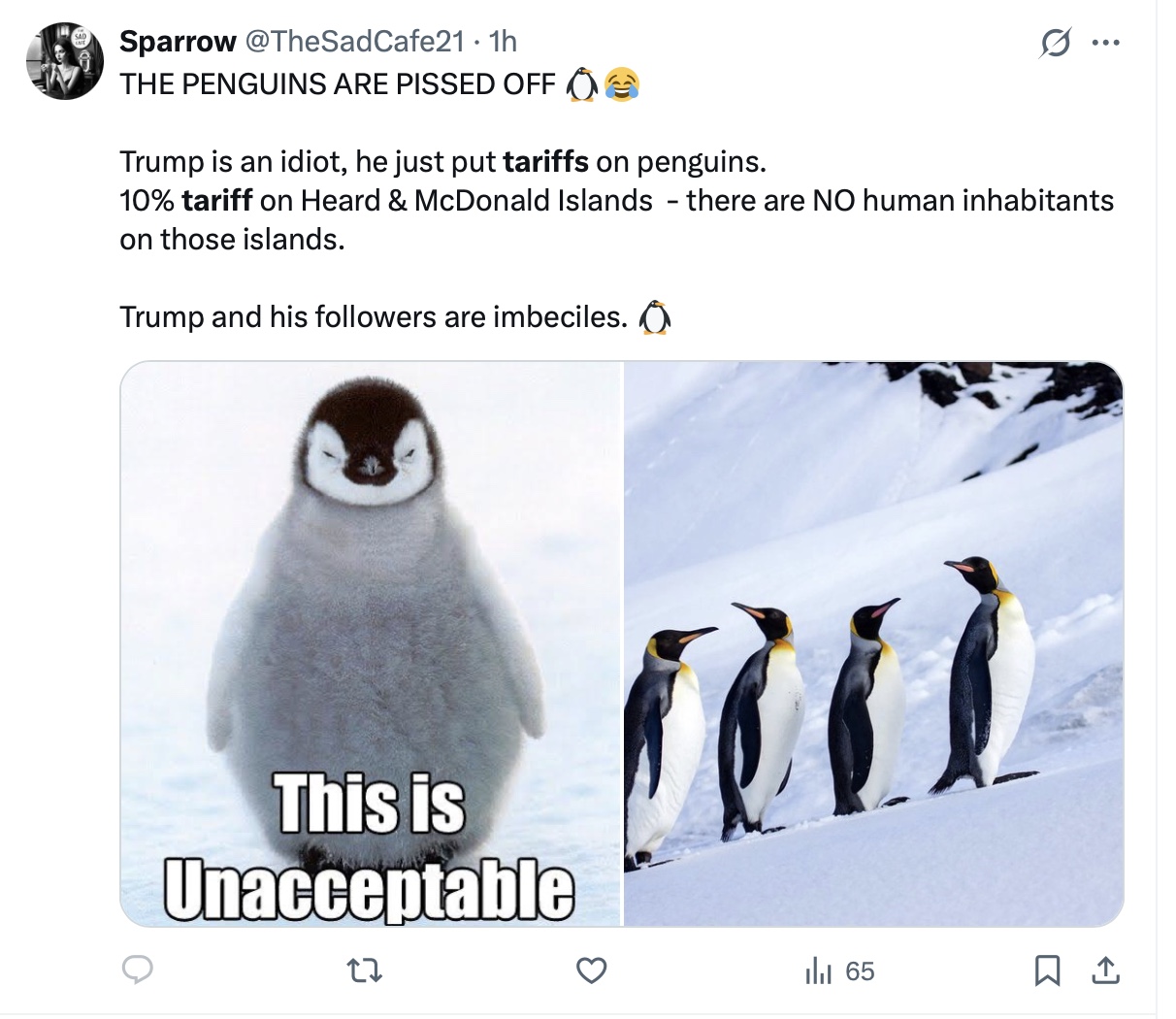 Penguin tariff