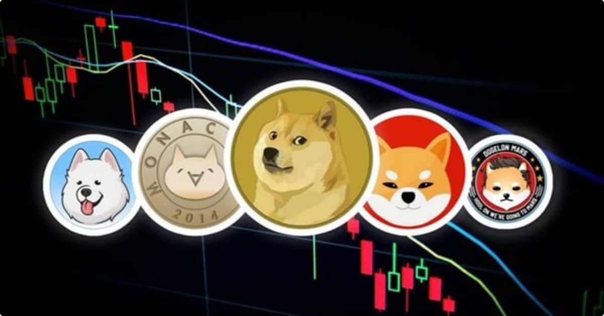 Meme Coin Là Gì 4
