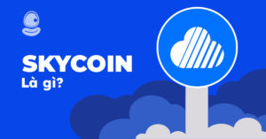 Skycoin là gì