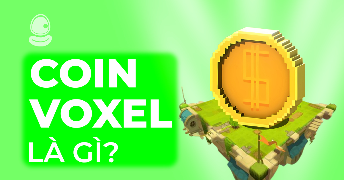 Coin voxel là gì