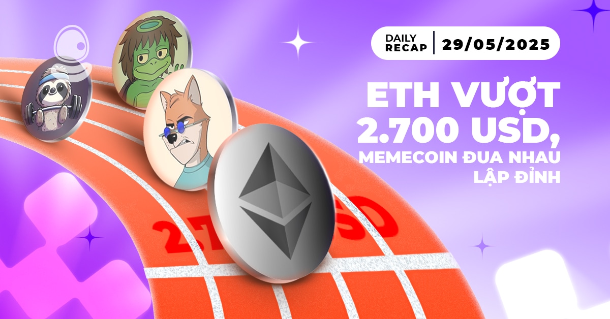 Daily Recap 29/05 Thumb