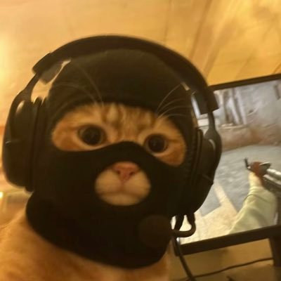 Catwifmask: Hành trình của mèo đeo mặt nạ trong thế giới memecoin 2 Catwifmask (MASK) là gì?