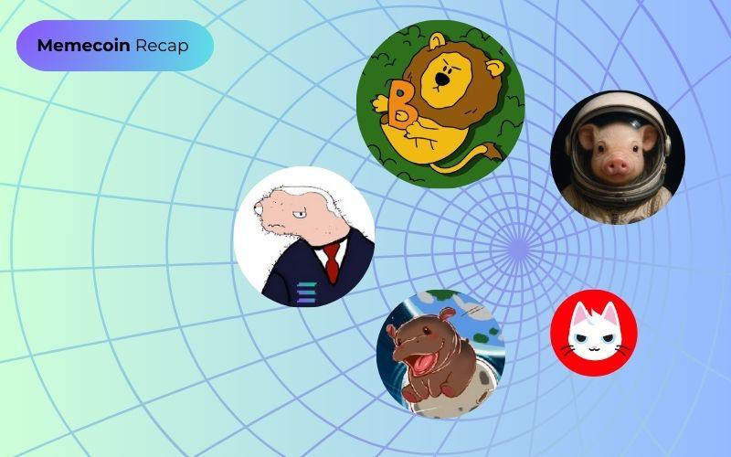 Recap thị trường crypto tuần qua (19/05 - 25/05) 3 Memecoin Recap (19/05 - 25/05)