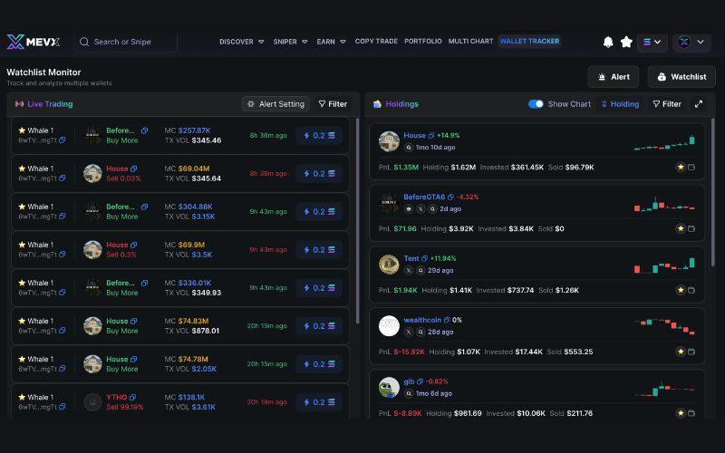 Cách theo dõi ví cá mập (whale) để tìm cơ hội mua sớm meme coin 5 Giao diện MevX Wallet Tracker sau khi thêm địa chỉ ví
