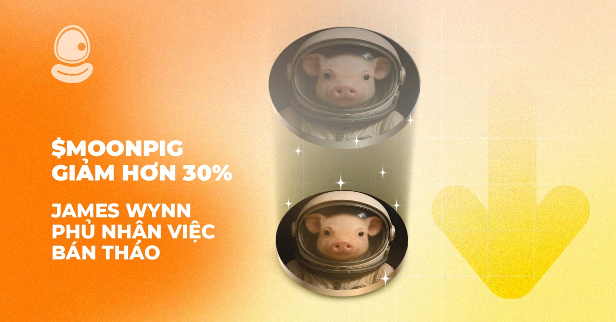 $MOONPIG giảm hơn 30%, James Wynn phủ nhận việc bán tháo 1 Moonpig Thumb