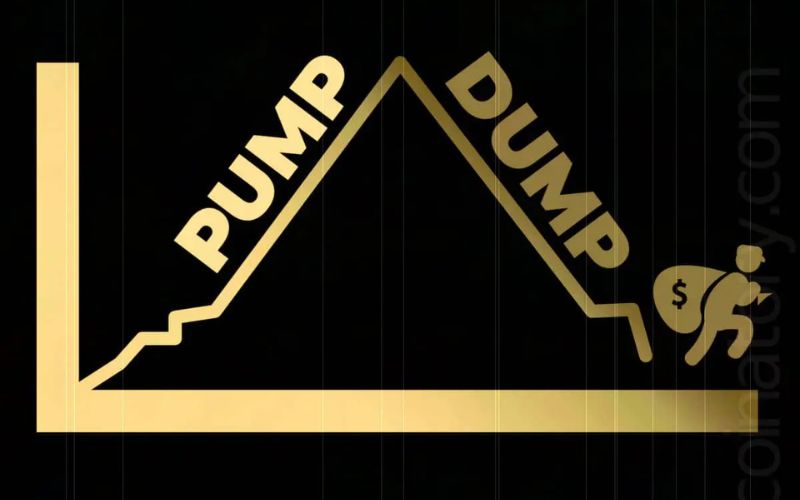 Cách theo dõi ví cá mập (whale) để tìm cơ hội mua sớm meme coin 2 Pump and Dump