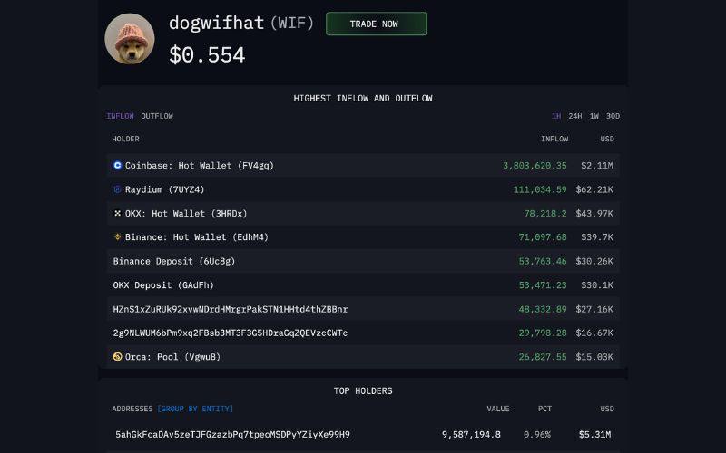 Cách theo dõi ví cá mập (whale) để tìm cơ hội mua sớm meme coin 3 Top Holders $WIF