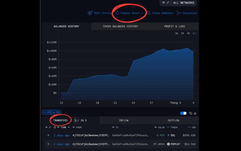 Cách theo dõi ví cá mập (whale) để tìm cơ hội mua sớm meme coin 4 Transfers và Create Alert trên giao diện