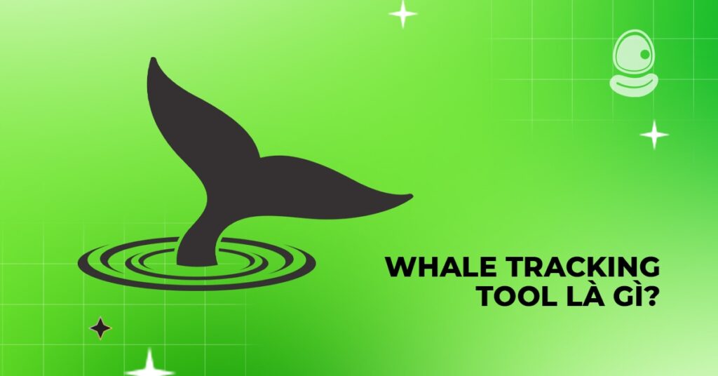 Whale tracking tool – Theo dấu cá lớn để kiếm coin sớm 2 Whale tracking tool là gì?