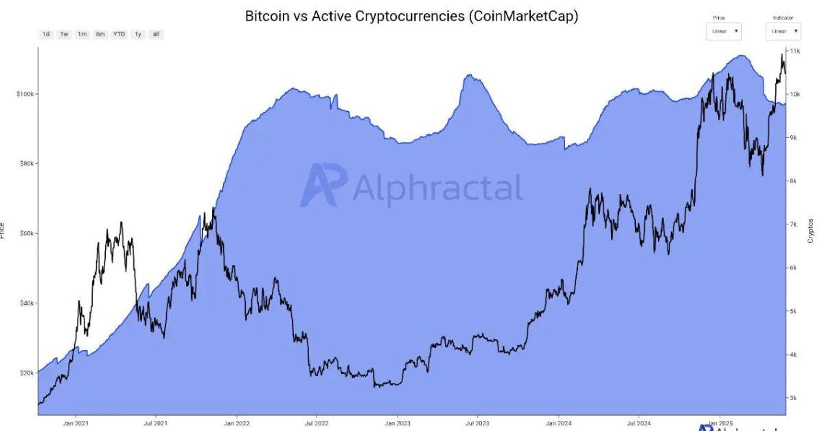 Thị Trường Crypto 11