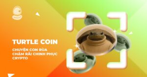 Turtle Coin: Chuyện con rùa chậm rãi chinh phục Crypto