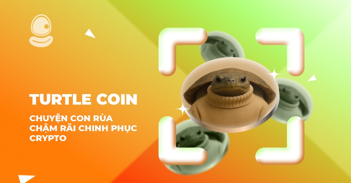 Turtle Coin: Chuyện con rùa chậm rãi chinh phục Crypto 1 Turtle Coin: Chuyện con rùa chậm rãi chinh phục Crypto