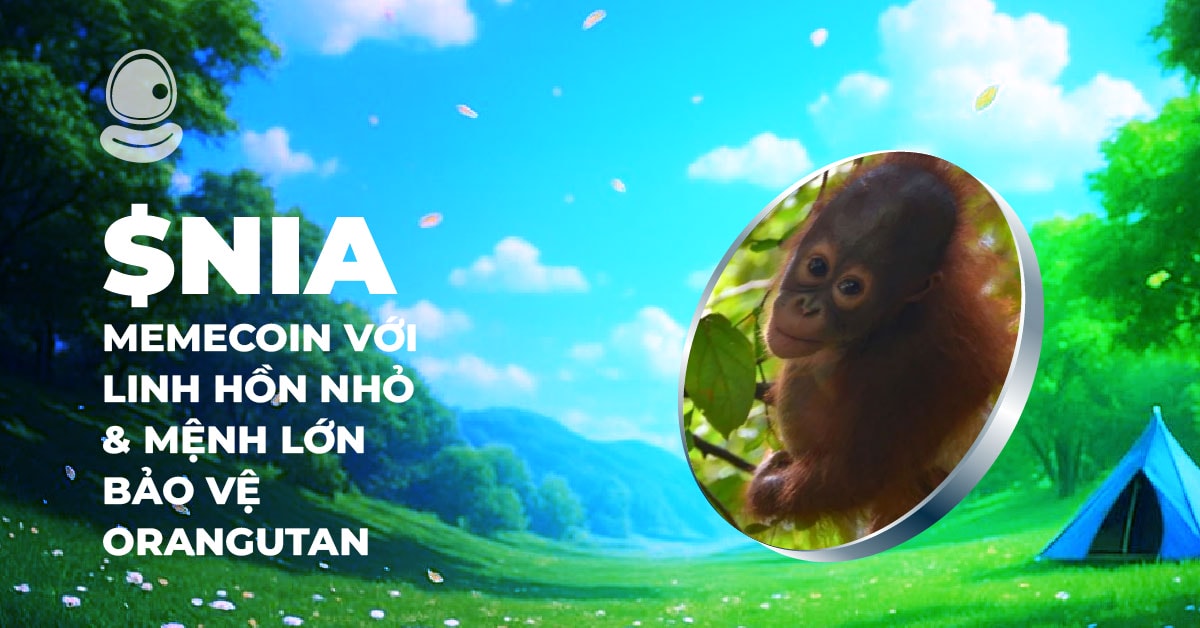 $NIA: Memecoin với linh hồn nhỏ và sứ mệnh lớn bảo vệ Orangutan 1 $NIA: Memecoin với linh hồn nhỏ và sứ mệnh lớn bảo vệ Orangutan