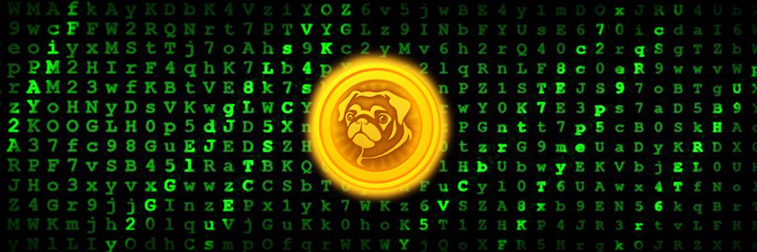 $PUGCOIN: Hành trình từ Backrooms của OpenAI đến mặt trăng? 2 Nguồn gốc $PUGCOIN
