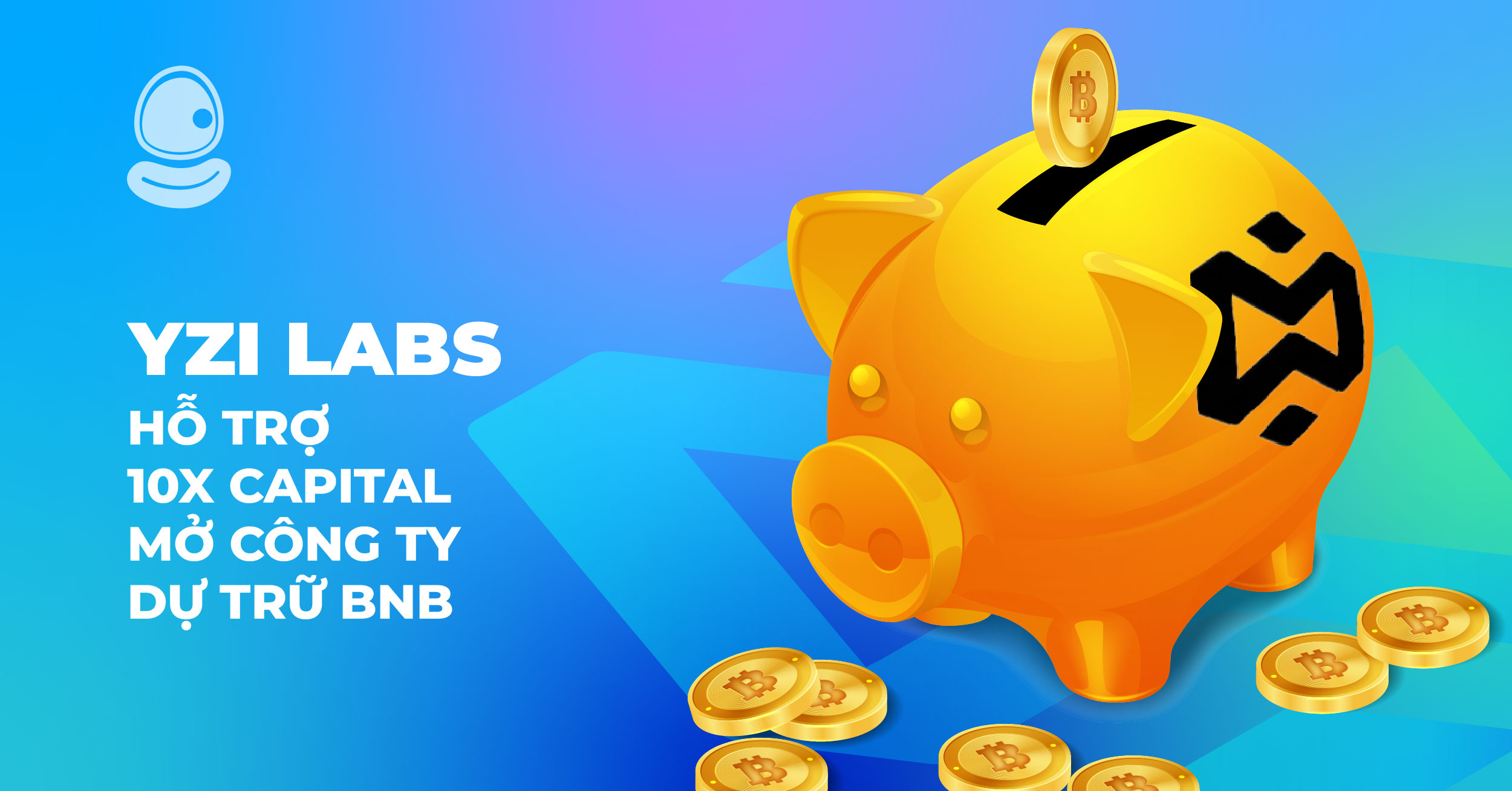 YZi Labs Thumb