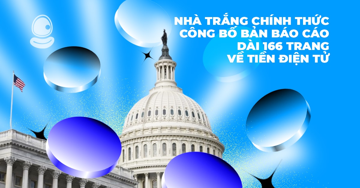 Bản Báo Cáo Thumb