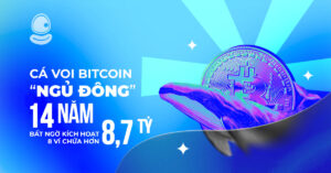 Cá Voi Bitcoin Thumb