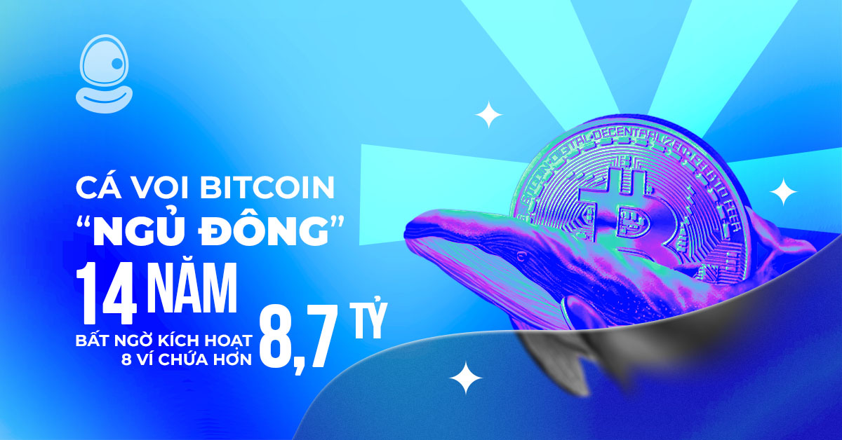 Cá Voi Bitcoin Thumb