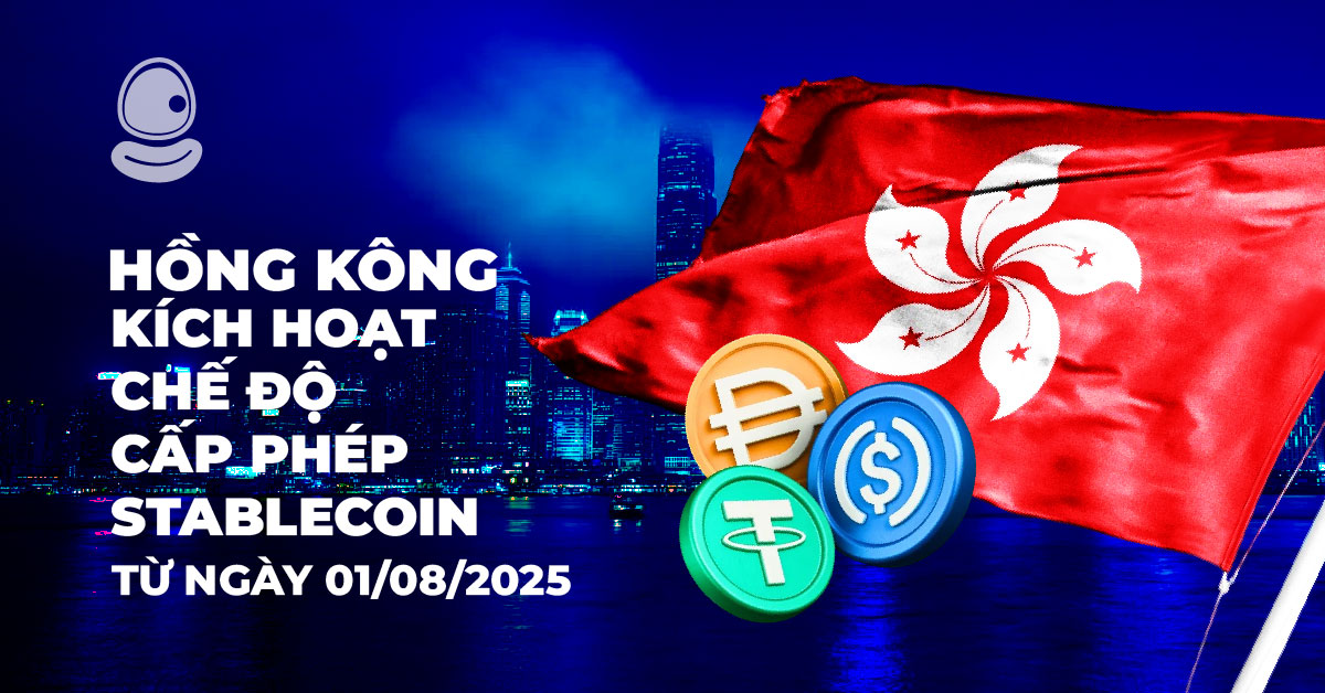 Cấp Phép Stablecoin Thumb
