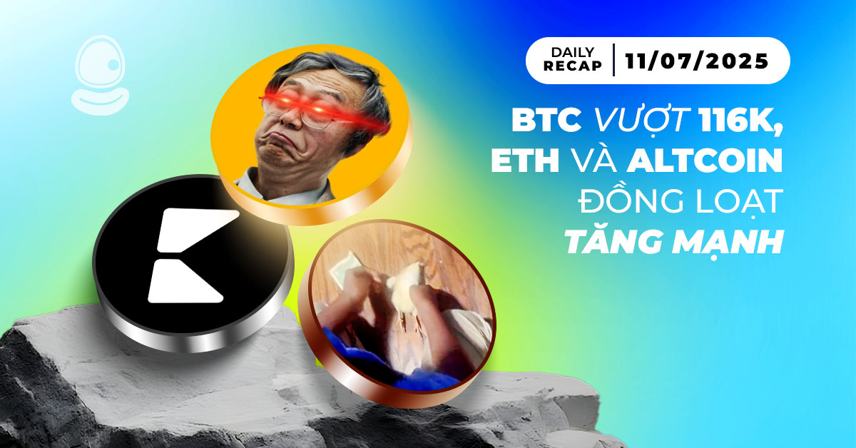 Daily Recap 11/07 Thumb