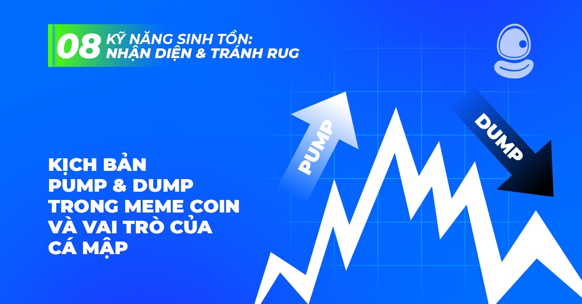 Kịch Bản Pump And Dump Thumb