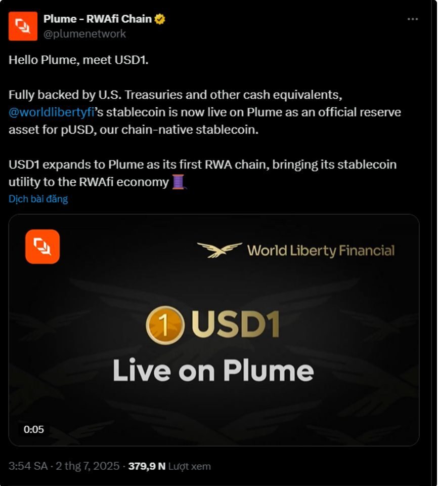 Plume Network 1