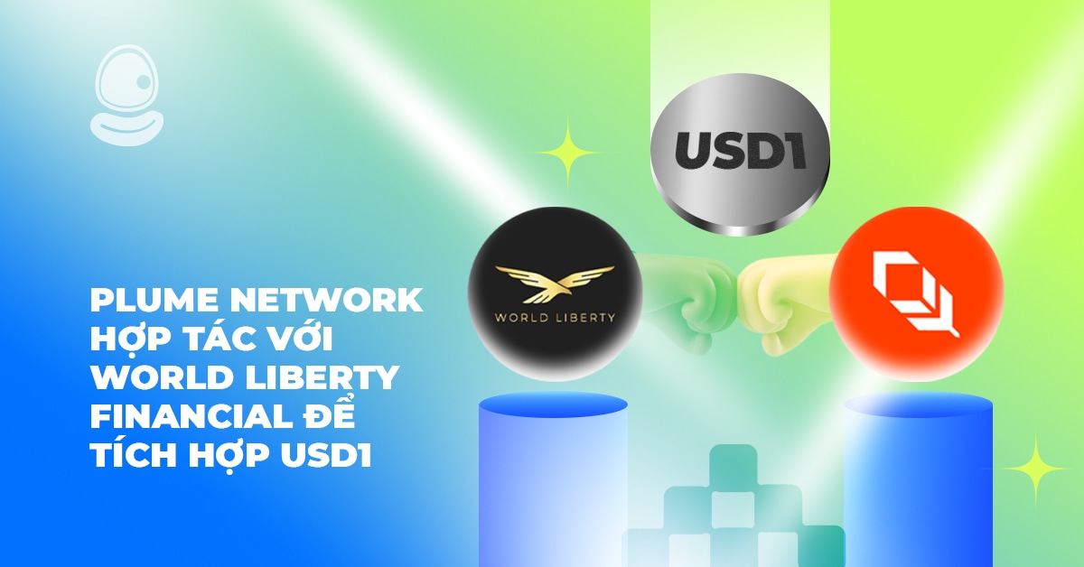 Plume Network Thumb