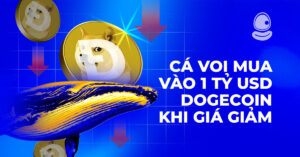 1 Tỷ USD Dogecoin Thumb