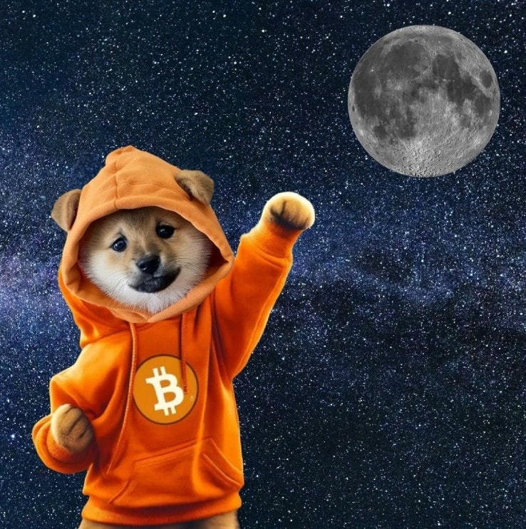 DOG•GO•TO•THE•MOON: Memecoin Đầu Tiên Trên Bitcoin Runes 2 Câu chuyện của DOG•GO•TO•THE•MOON
