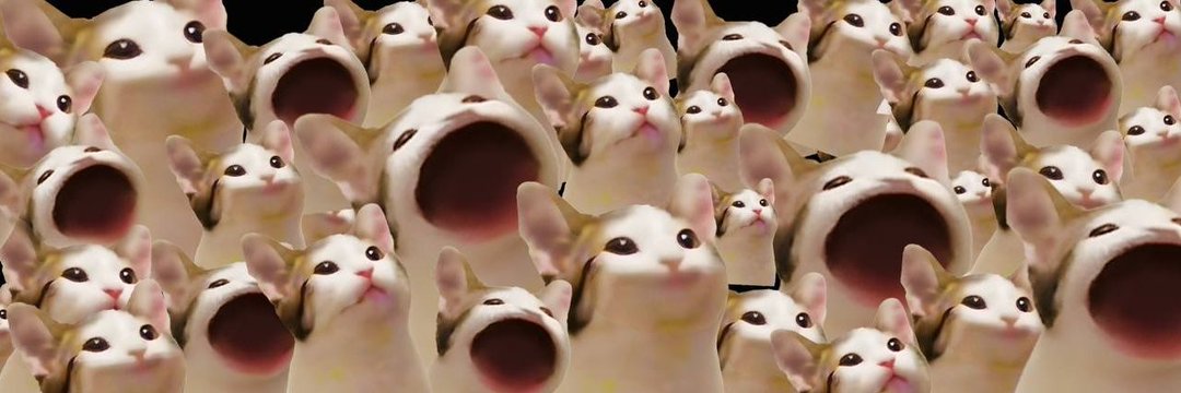 Popcat: Mèo Oatmeal và sức mạnh cộng đồng Solana 2 Câu chuyện của Popcat