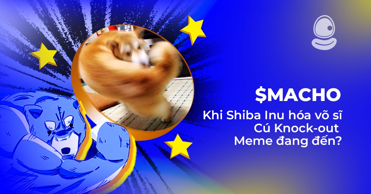 $MACHO: Khi Shiba Inu hóa võ sĩ, Cú Nock-out Meme đang đến? 1 $MACHO: Khi Shiba Inu hóa võ sĩ, Cú Nock-out Meme đang đến?