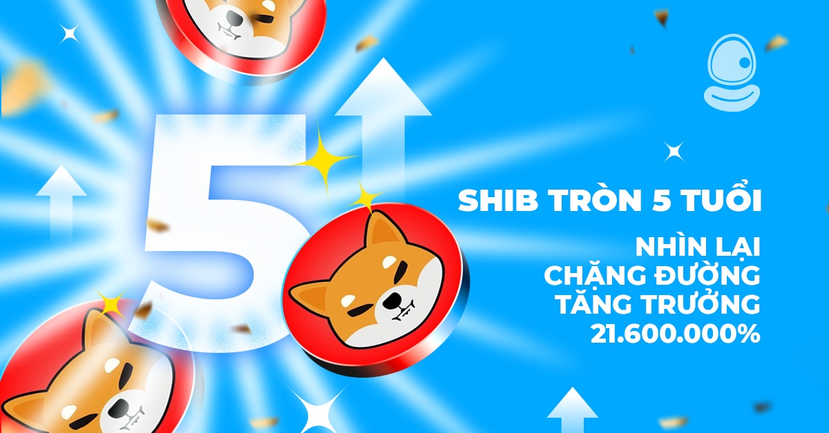 SHIB Tròn 5 Tuổi Thumb