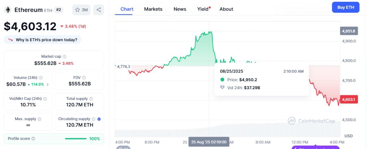 Gần 560 triệu USD bị thanh lý khi cá voi Bitcoin bất ngờ xả hàng 2 Cá Voi Bitcoin 11