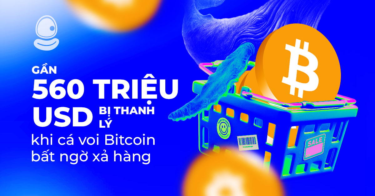 Cá Voi Bitcoin Thumb