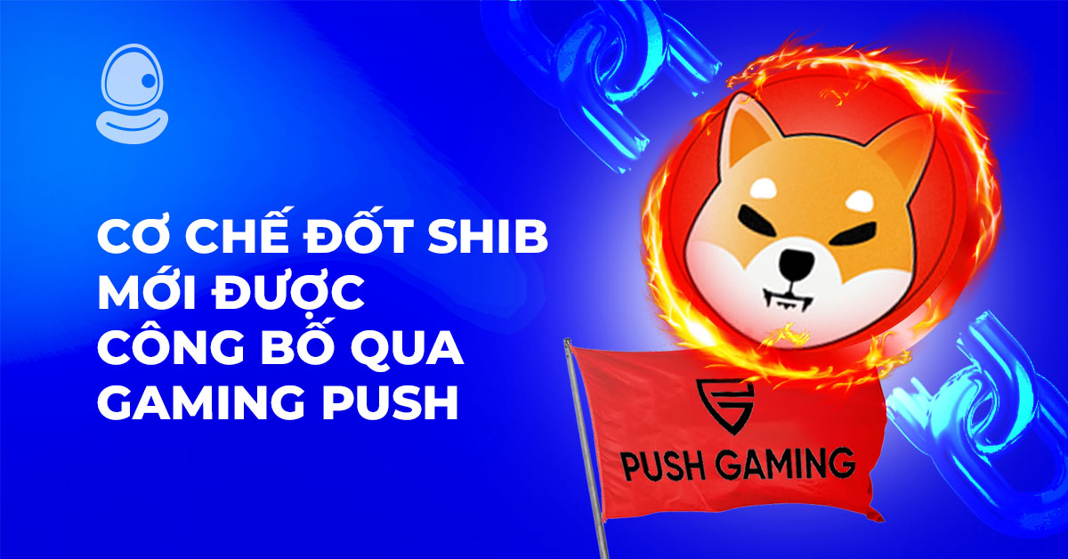 Cơ Chế Đốt SHIB Mới Thumb